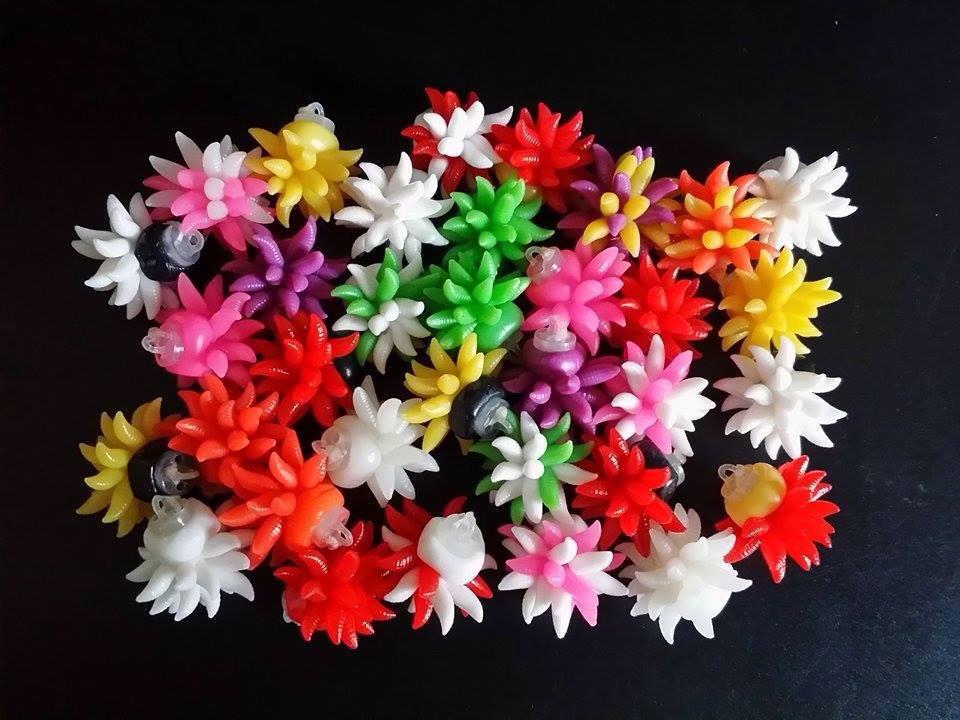 Rig 2015 - image11.jpg